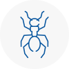 Ant Removals In Thorne