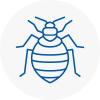 Bed Bug Extermination In Thorne
