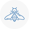 Bee Nest Removal Thorne