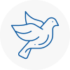 Bird Prevention Thorne