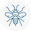 Thorne Hornet Nest Removals