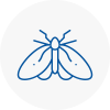 Moth Control Specialists In Thorne