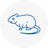 Rat Control Thorne