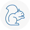 Thorne Rodent Removals
