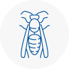 Thorne Wasp Nest Removal